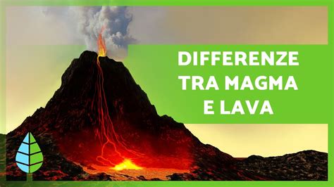 Diagramma che illustra la differenza tra braccetto tergicristallo e spazzola tergicristallo