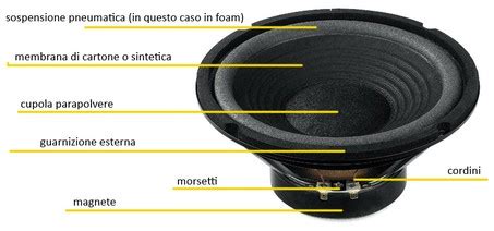 Schema dettagliato di un altoparlante coassiale