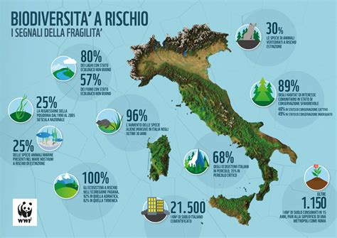 Grafico che illustra la progressiva riduzione dell'addizionale erariale in base all'età del veicolo