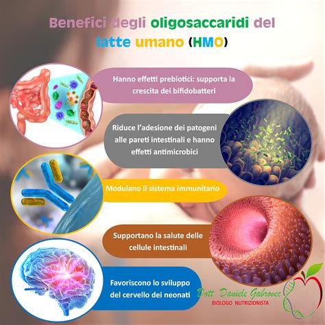 Infografica: Benefici degli adesivi ibridi