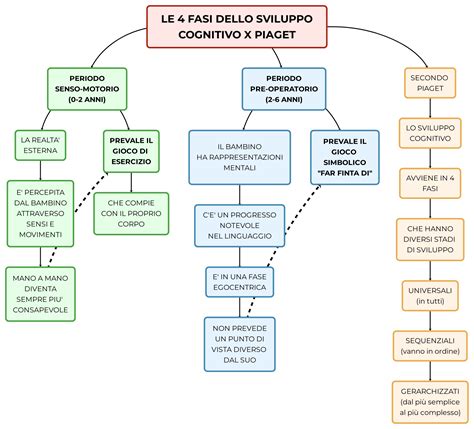 Diagramma che illustra le fasi dello sviluppo infantile