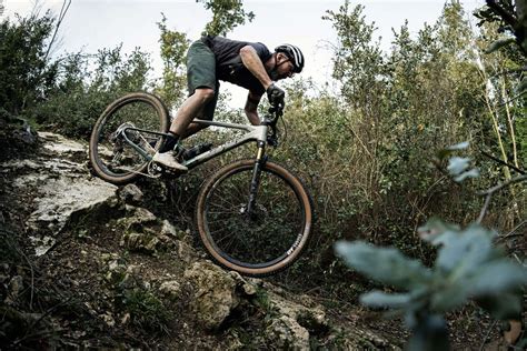 Mountain bike Lee Cougan Droid 29 in azione su un sentiero sterrato