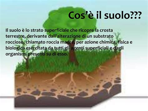 Diagramma che mostra l'effetto suolo di un'auto da corsa