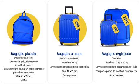 Infografica che mostra le tipologie di bagagli ammessi e le procedure di controllo alla frontiera