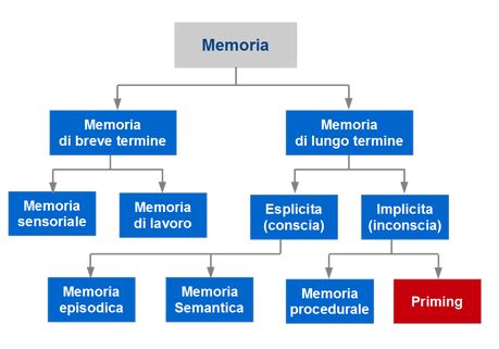 schema che illustra il concetto di priming e attivazione delle memorie