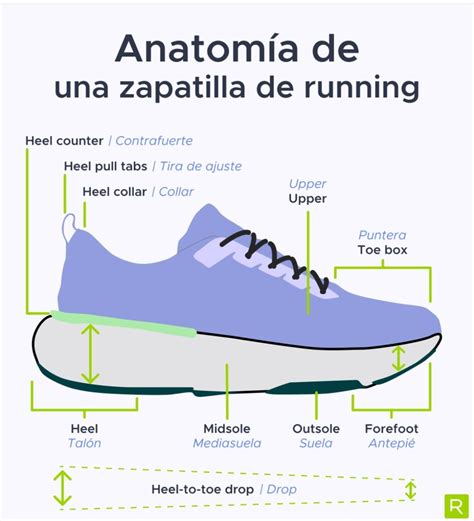 Dettaglio della struttura interna di una scarpa da corsa con indicazione del drop