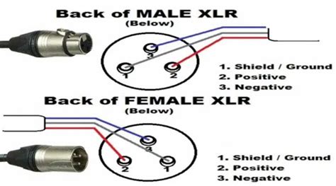 XLR cable diagram