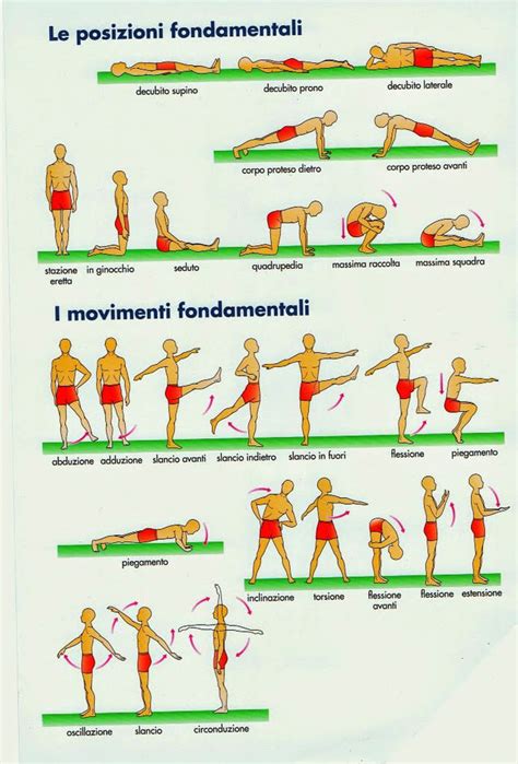 Schema delle diverse posizioni del vassoio bagagliaio