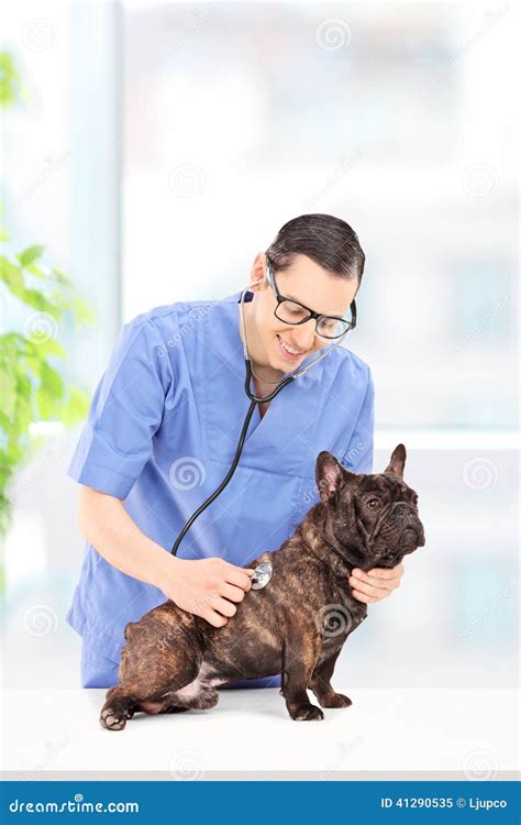 Veterinario che esamina un cane