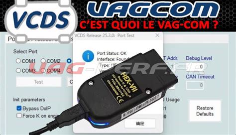 Interfaccia diagnostica VAG-COM