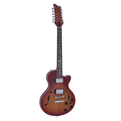 Chitarra elettrica a 12 corde