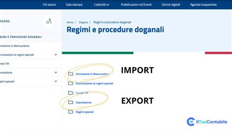 Schermata di importazione delle demo del tema Impreza