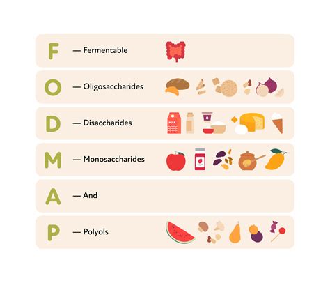 Schema molecolare dei FODMAPs e loro azione nell'intestino
