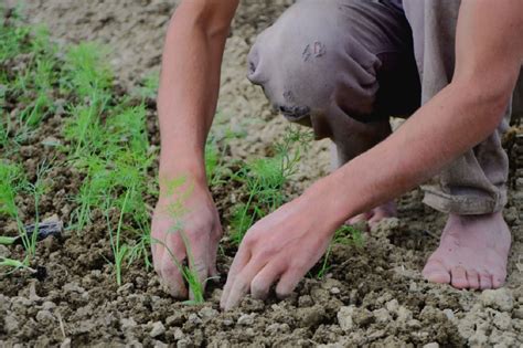 Attivismo DIY, autosufficienza e empowerment