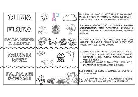 Schema del camuffamento Flora HRV-98
