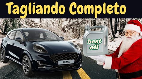 Ford Puma manutenzione