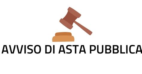 Dettaglio di un avviso di asta pubblica per veicoli