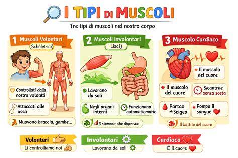 Infografica sui tre tipi di fiducia (di base, interpersonale, sistemica)