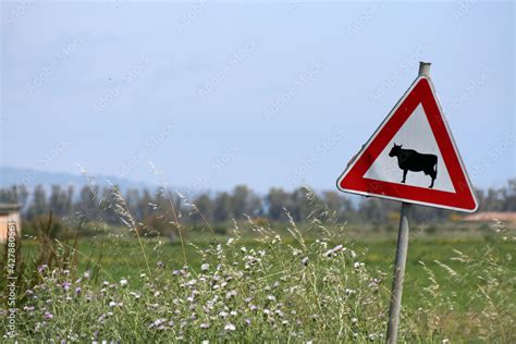 strada di campagna con segnale GPS interrotto