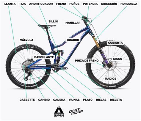 Infografica: Passaggi per verificare la provenienza di una bici usata