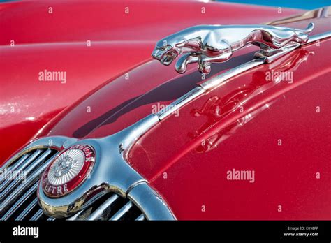 Dettaglio iconico del cofano allungato di una Jaguar E-Type