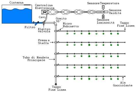Schema di irrigazione per cactus