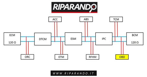 Schema di una rete CAN in serie e in parallelo