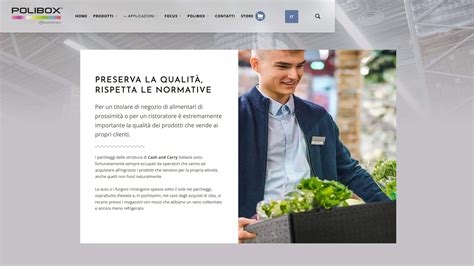 Interfaccia utente di un sito web per la ricerca di ricambi auto