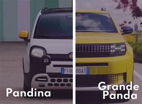 Confronto visivo tra i modelli Fiat Panda e Fiat 500 con enfasi sulle caratteristiche di sicurezza
