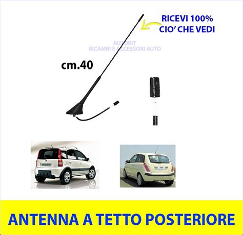 Antenna a stelo su tetto auto