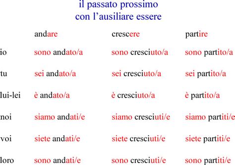 Schema che illustra la coniugazione del passato prossimo con avere ed essere