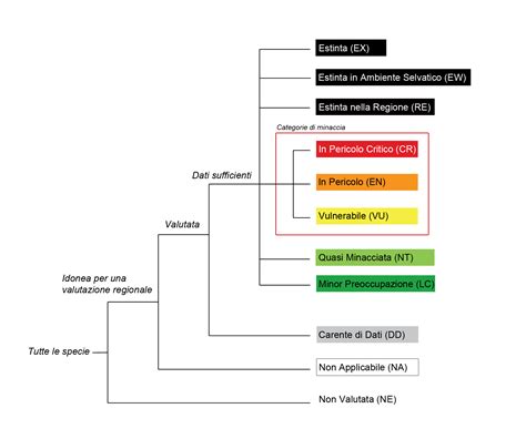 Schema delle categorie di SUV