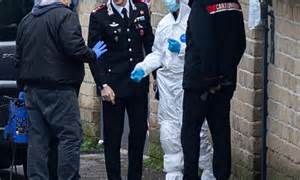 Segnaletica stradale per Anguillara Sabazia dalla SS493