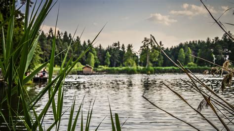 Immagine panoramica dell'Altopiano dei Tredici Laghi con diversi specchi d'acqua