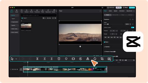 Interfaccia utente di CapCut con opzioni audio
