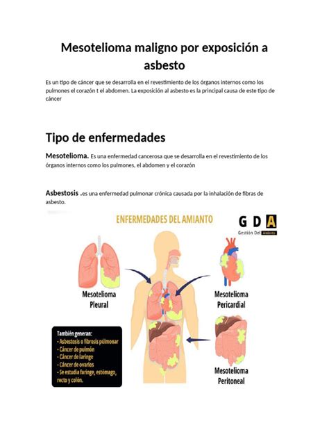 schema che illustra la progressione dall'infiammazione da asbesto al rischio di mesotelioma