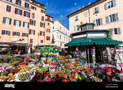 Campo di fiori a corolla stellata
