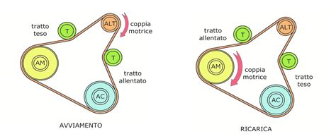 Schema di una cinghia servizi che collega diverse pulegge