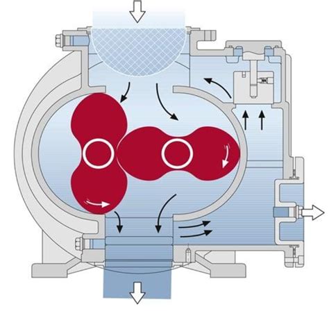 Illustrazione di una pompa del vuoto rotativa a palette