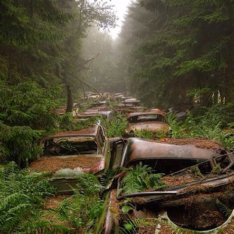 Vecchie auto arrugginite nella foresta di Chatillon