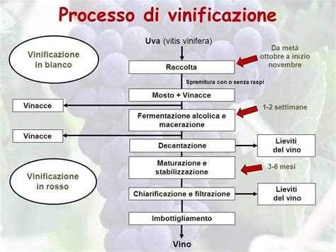 Diagramma della struttura del VIN