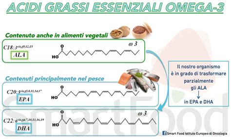 Diagramma che illustra la struttura chimica degli acidi grassi Omega-3 EPA e DHA