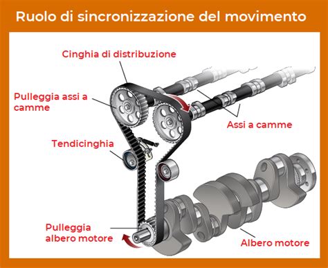 Schema funzionamento cinghia di distribuzione motore