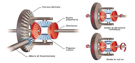 Schema di un differenziale posteriore automobilistico