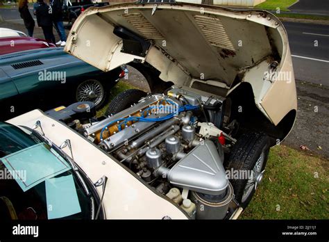 Cofano piatto di un'auto classica
