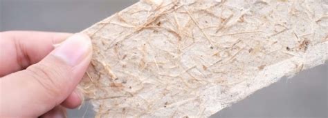 Micrografia che mostra la struttura delle fibre di cellulosa in un filtro aria