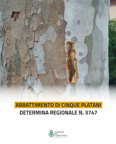 Mappa dell'Europa con evidenziate le aree colpite dal cancro colorato del platano