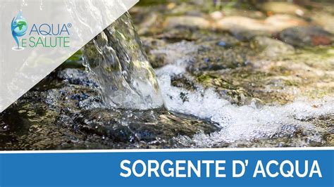 Immagine di una sorgente d'acqua pura in un ambiente naturale
