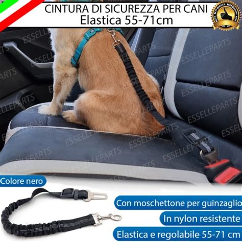 Dispositivi di sicurezza per cani in auto