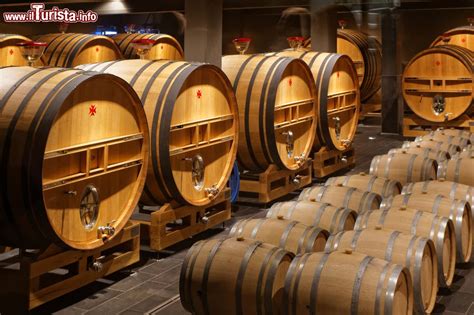 Interno di una cantina a Chiclana con botti di rovere